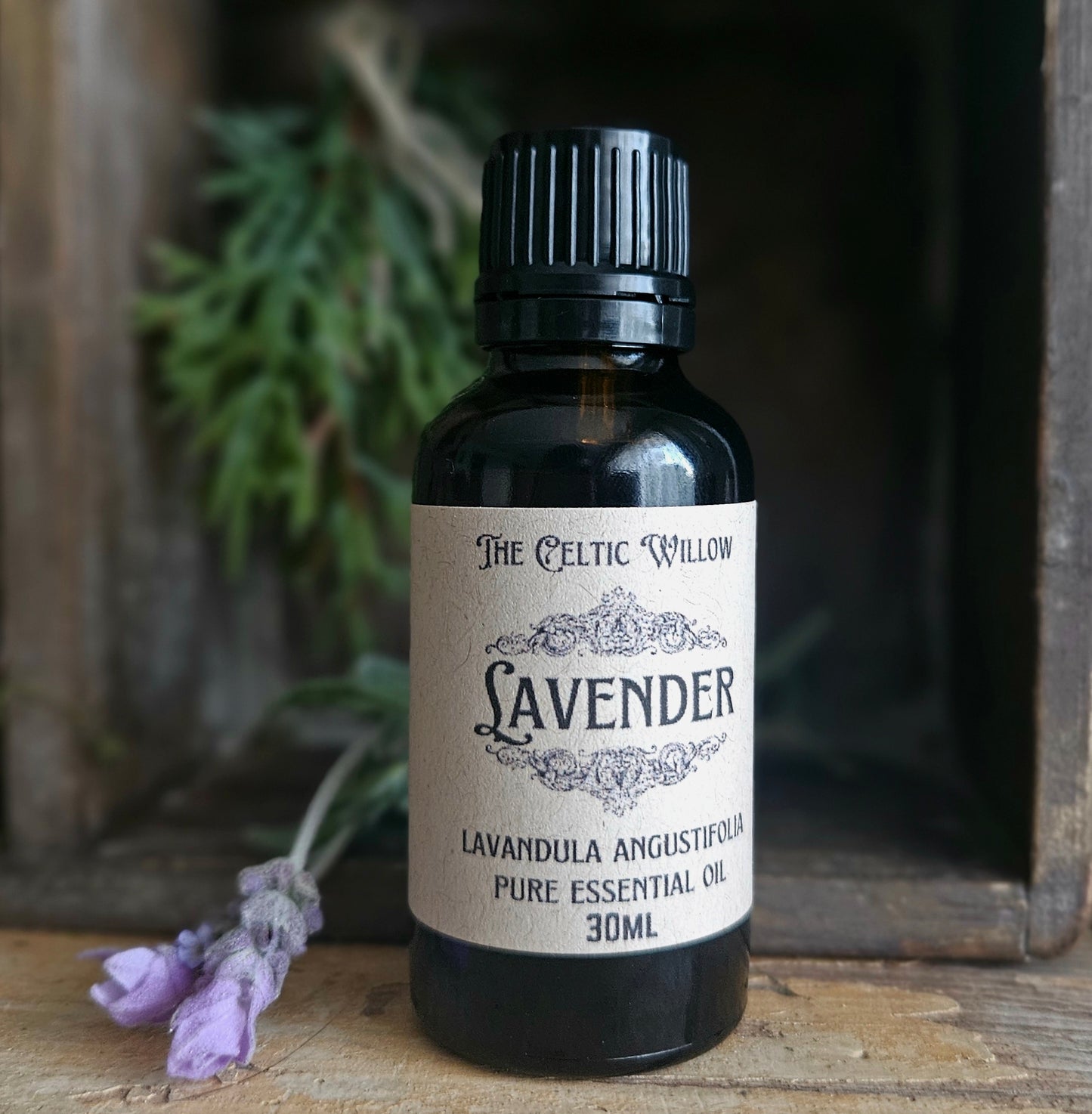 Lavender Essential Oil