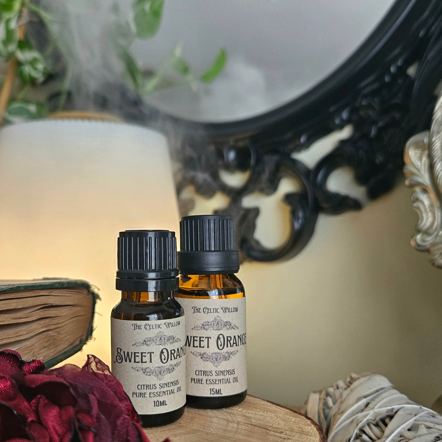 Sweet Orange Essential Oil